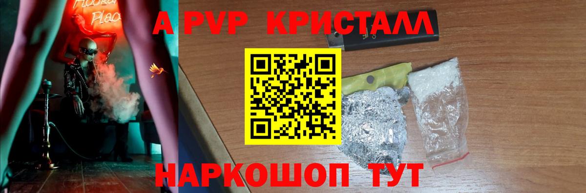 Альфа ПВП СК Архангельск