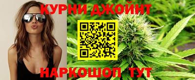 сатива Тара