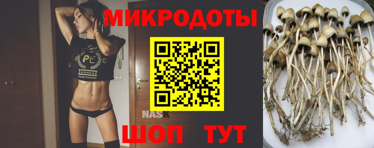 Галлюциногенные грибы Psilocybe  Вход с VPN  Псилоцибиновые грибы мухоморы  Архангельск 